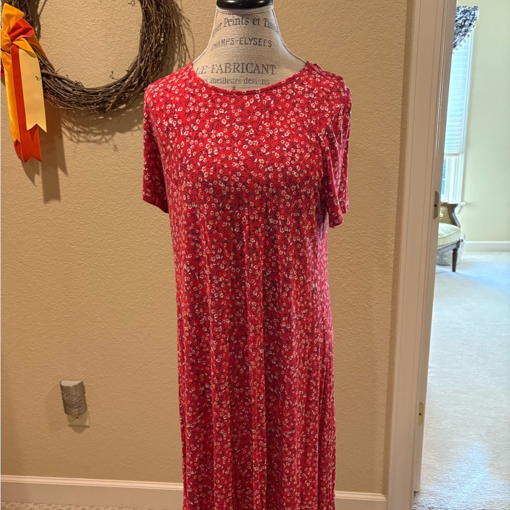 Old Navy Red Floral and Blue and White Striped Maxi Dress